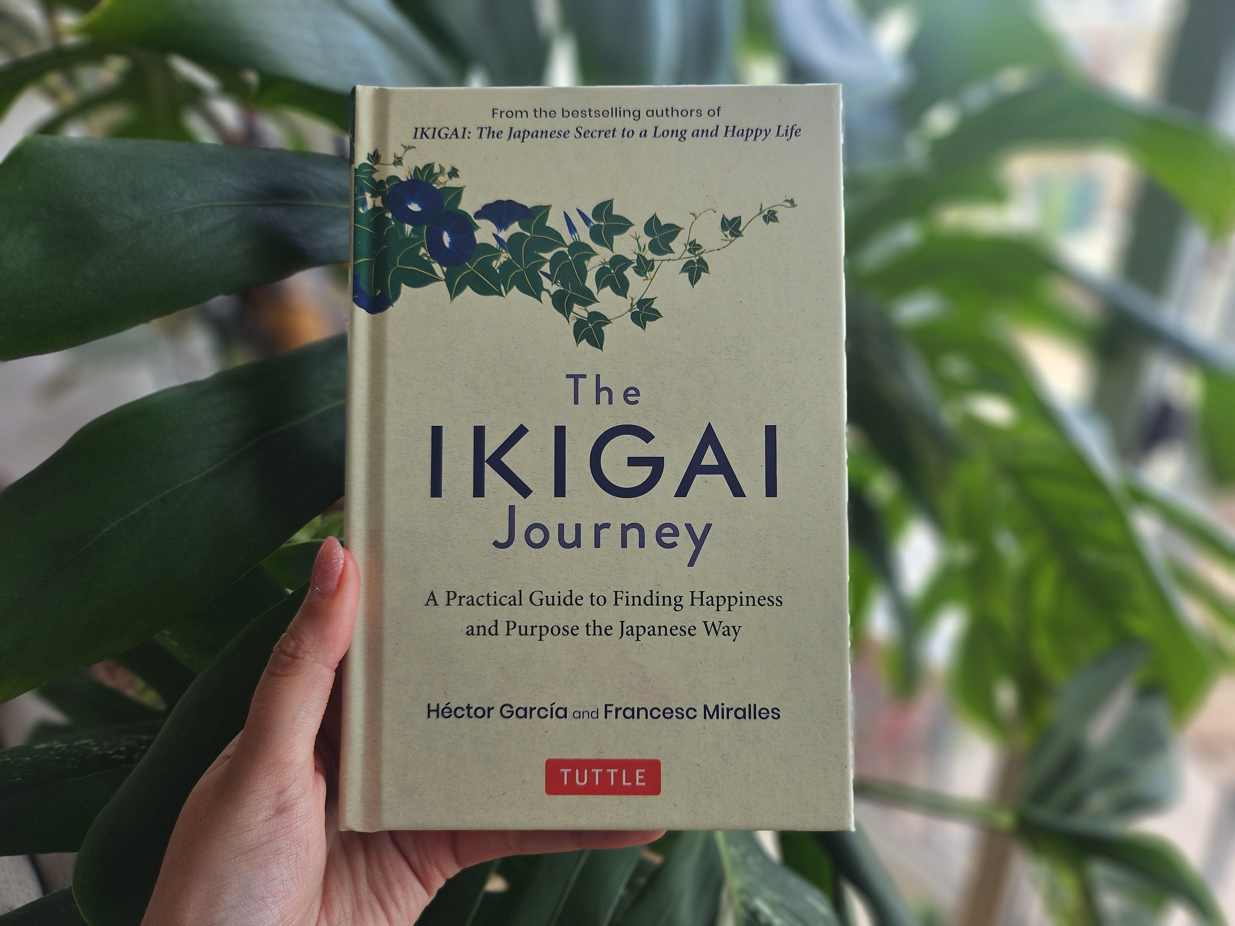 The Ikigai Journey